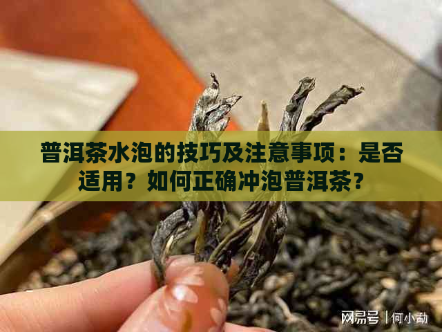 普洱茶水泡的技巧及注意事项：是否适用？如何正确冲泡普洱茶？