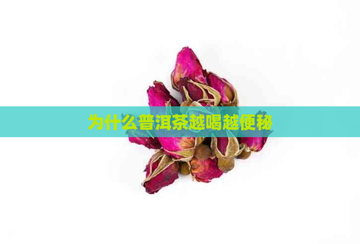 为什么普洱茶越喝越便秘