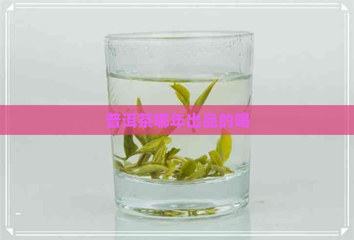 普洱茶哪年出品的喝