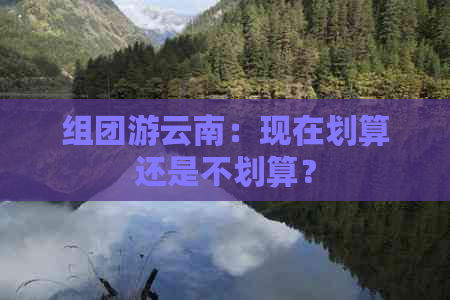 组团游云南：现在划算还是不划算？