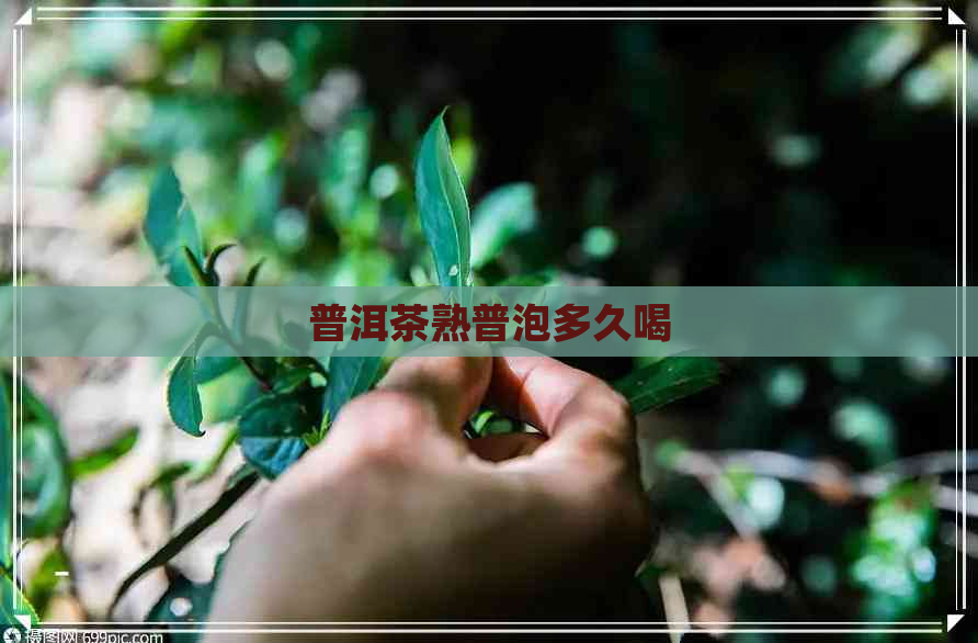 普洱茶熟普泡多久喝