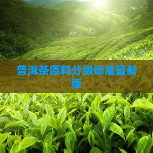 普洱茶原料分级标准最新版