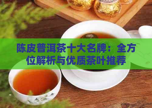 陈皮普洱茶十大名牌：全方位解析与优质茶叶推荐