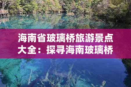 海南省玻璃桥旅游景点大全：探寻海南玻璃桥胜地指南及位置一览