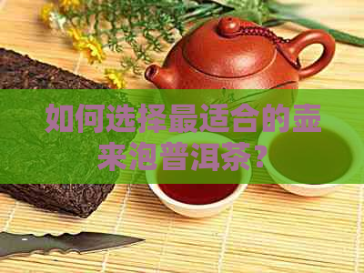 如何选择最适合的壶来泡普洱茶？