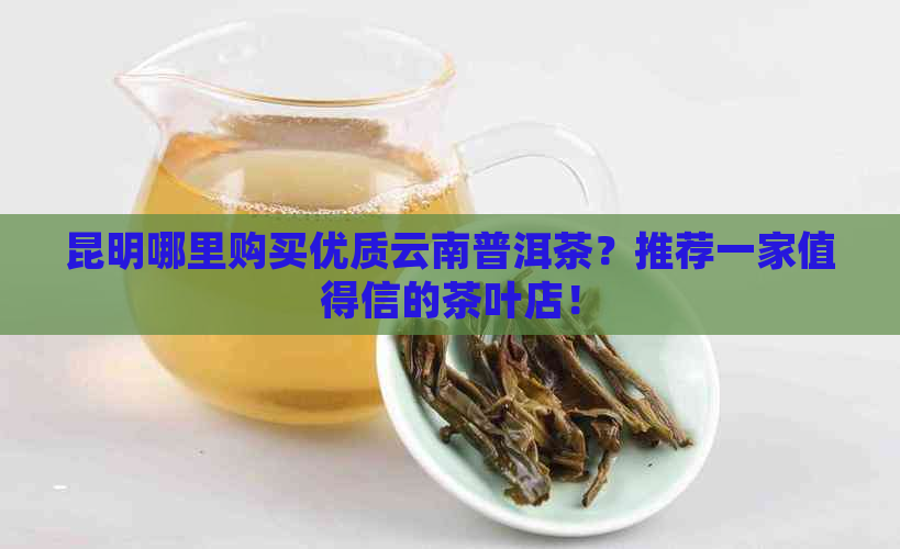 昆明哪里购买优质云南普洱茶？推荐一家值得信的茶叶店！