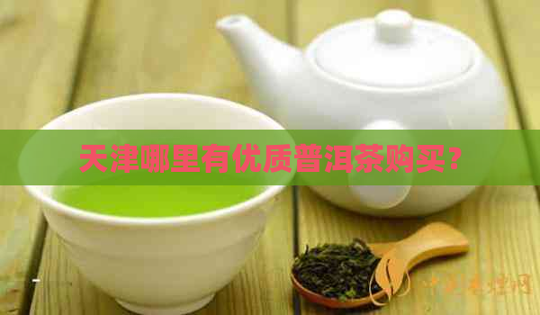 天津哪里有优质普洱茶购买？