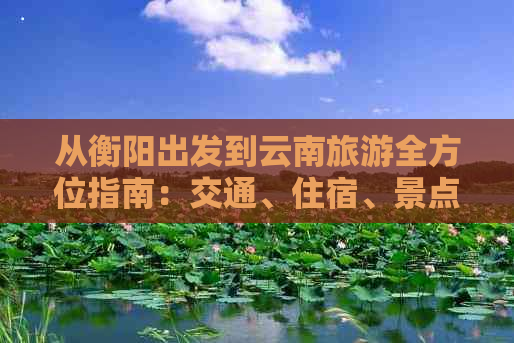 从衡阳出发到云南旅游全方位指南：交通、住宿、景点及行程规划