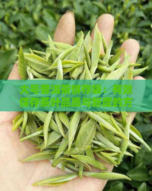 大号普洱茶饼存袋：有效保存茶叶品质与新度的方法