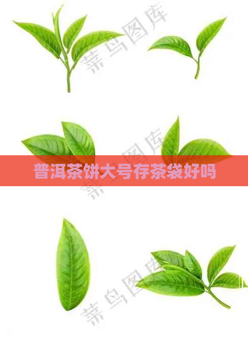 普洱茶饼大号存茶袋好吗