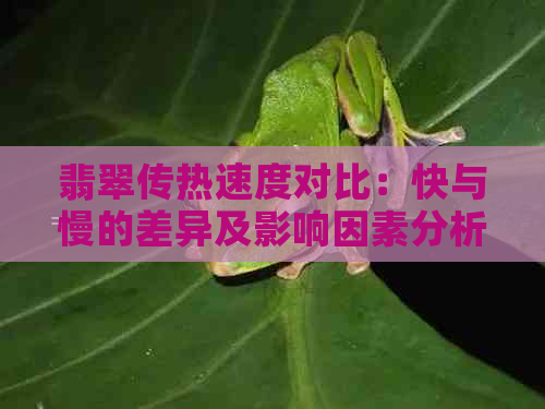 翡翠传热速度对比：快与慢的差异及影响因素分析