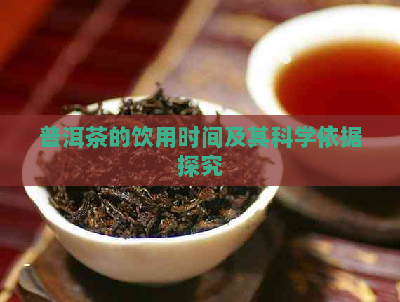 普洱茶的饮用时间及其科学依据探究