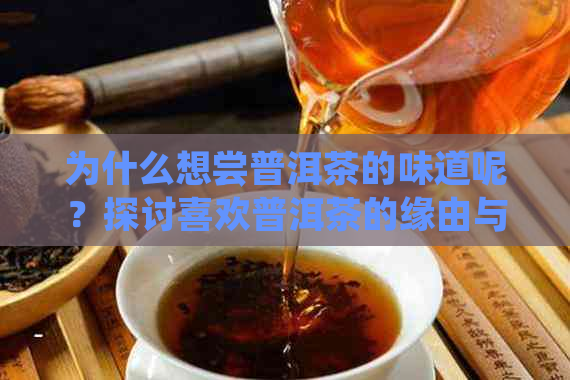 为什么想尝普洱茶的味道呢？探讨喜欢普洱茶的缘由与魅力