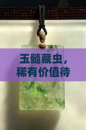 玉髓藏虫，稀有价值待挖掘：探索古老宝石内部的奇异现象