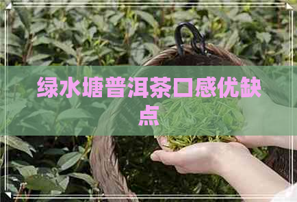 绿水塘普洱茶口感优缺点