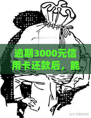 逾期3000元信用卡还款后，能否顺利乘坐飞机？