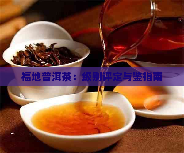 福地普洱茶：级别评定与鉴指南