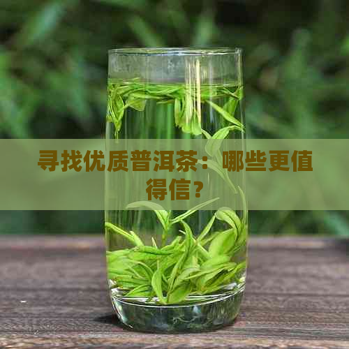 寻找优质普洱茶：哪些更值得信？