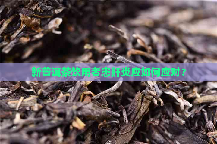 新普洱茶饮用者患肝炎应如何应对？