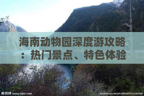 海南动物园深度游攻略：热门景点、特色体验与实用信息全解析