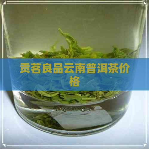 贡茗良品云南普洱茶价格