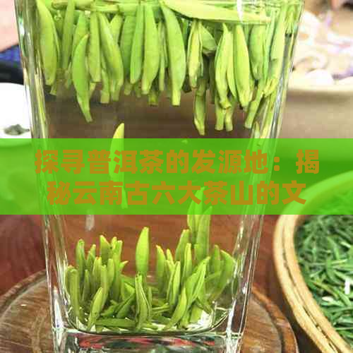 探寻普洱茶的发源地：揭秘云南古六大茶山的文化与历