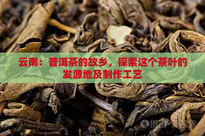 云南：普洱茶的故乡，探索这个茶叶的发源地及制作工艺