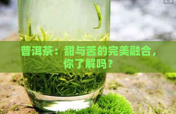 普洱茶：甜与苦的完美融合，你了解吗？