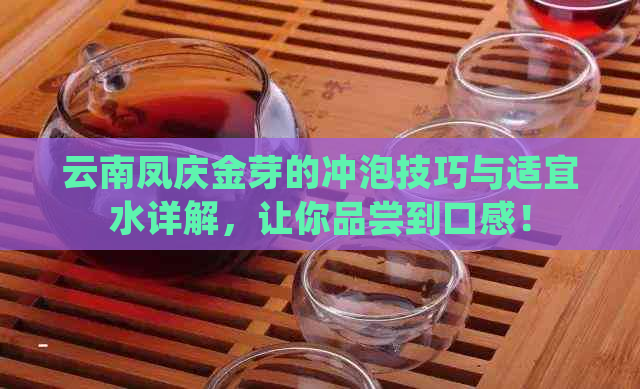 云南凤庆金芽的冲泡技巧与适宜水详解，让你品尝到口感！