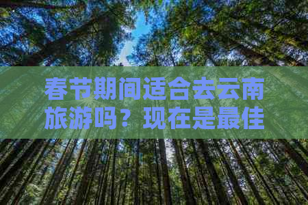 春节期间适合去云南旅游吗？现在是更佳时机吗？