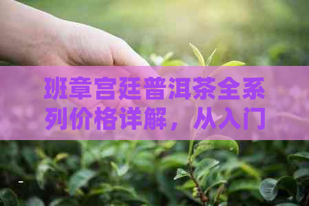 班章宫廷普洱茶全系列价格详解，从入门级到高端收藏品一应俱全！