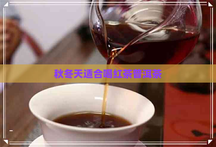 秋冬天适合喝红茶普洱茶