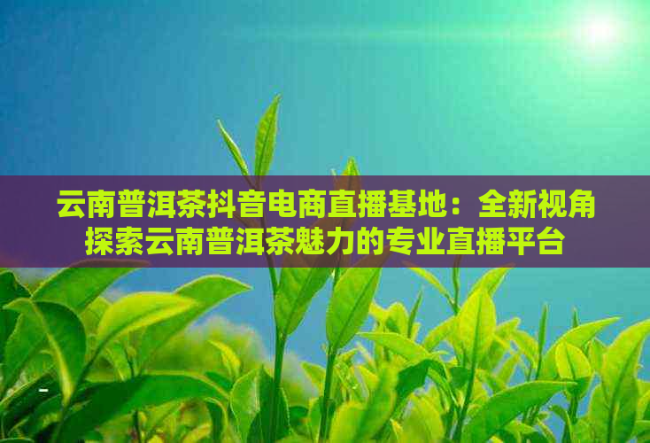 云南普洱茶抖音电商直播基地：全新视角探索云南普洱茶魅力的专业直播平台