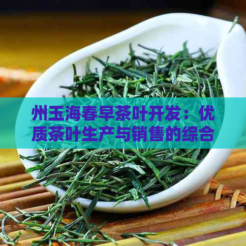 州玉海春早茶叶开发：优质茶叶生产与销售的综合性企业