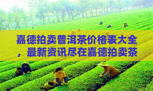 嘉德拍卖普洱茶价格表大全，最新资讯尽在嘉德拍卖茶叶