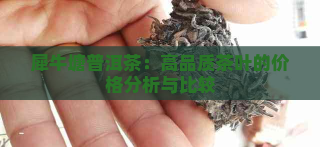 犀牛塘普洱茶：高品质茶叶的价格分析与比较