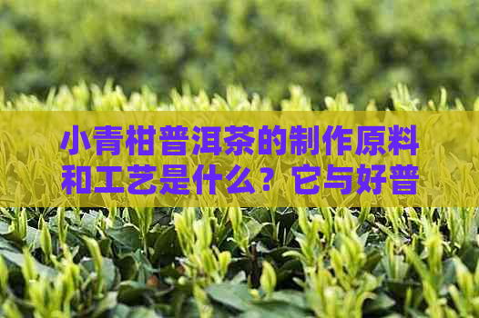 小青柑普洱茶的制作原料和工艺是什么？它与好普洱茶有何区别？