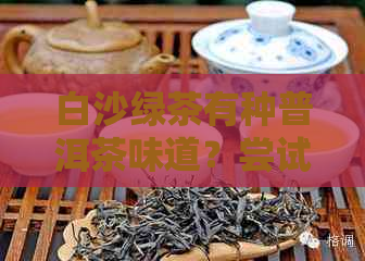 白沙绿茶有种普洱茶味道？尝试后发现其独特之处