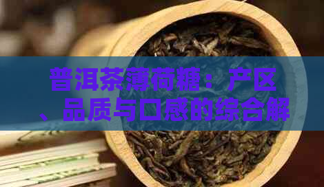 普洱茶薄荷糖：产区、品质与口感的综合解析