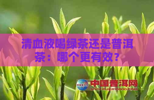 清血液喝绿茶还是普洱茶：哪个更有效？