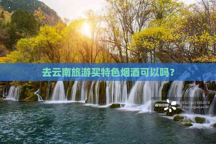 去云南旅游买特色烟酒可以吗？