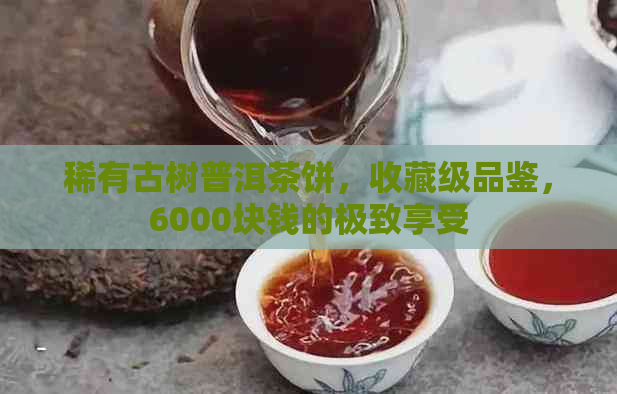 稀有古树普洱茶饼，收藏级品鉴，6000块钱的极致享受