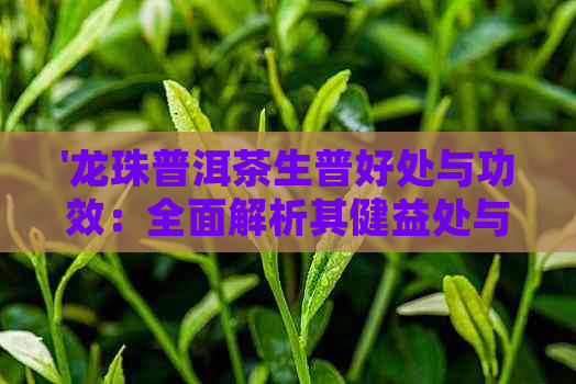 '龙珠普洱茶生普好处与功效：全面解析其健益处与效果'