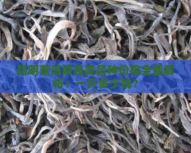 昆明普洱茶各类品种价格全面解析：一斤多少钱？