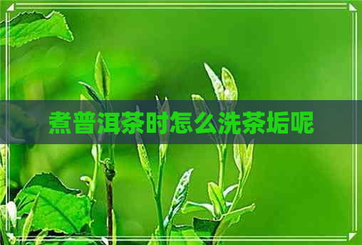 煮普洱茶时怎么洗茶垢呢