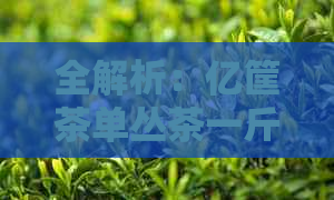 全解析：亿筐茶单丛茶一斤价格及其品种特点，让你轻松选购！