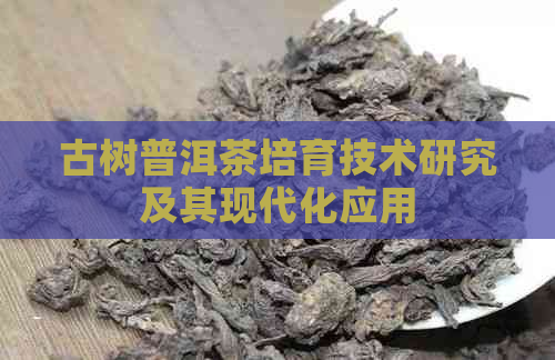 古树普洱茶培育技术研究及其现代化应用