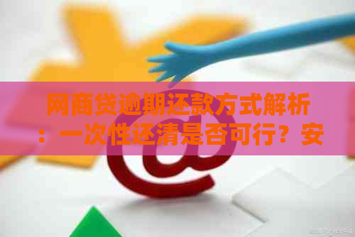 网商贷逾期还款方式解析：一次性还清是否可行？安全保障如何确保？