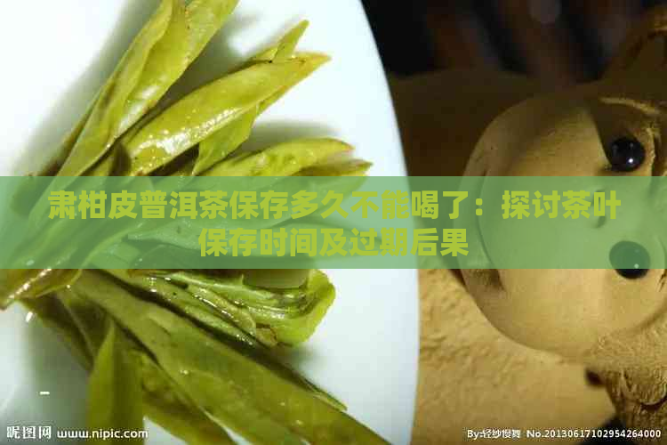 肃柑皮普洱茶保存多久不能喝了：探讨茶叶保存时间及过期后果