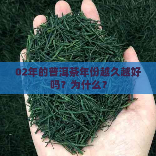 02年的普洱茶年份越久越好吗？为什么？